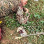 Russian mercenaries killed in Mali ambush