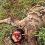 Russian mercenaries killed in Mali ambush