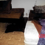 Unsolved murder of Shelbey Thornburgh