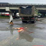 Vietnamese motorcyclist crushed by truck