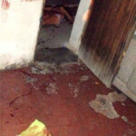 Woman stabbed to death by her boyfriend