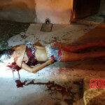 Woman stabbed to death by her boyfriend