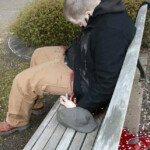 Young man shot himself in head on park bench