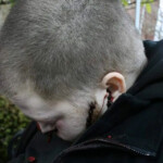 Young man shot himself in head on park bench