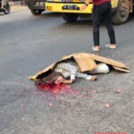 16-year-old motorcycle passenger suffered devastating head injuries