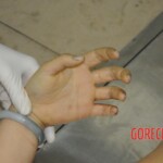 Autopsy of stabbed Chinese woman