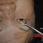 Autopsy of stabbed Chinese woman