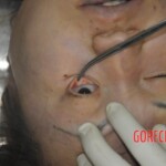 Autopsy of stabbed Chinese woman