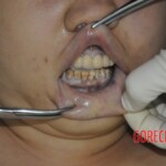 Autopsy of stabbed Chinese woman
