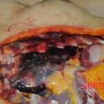 Autopsy of stabbed Chinese woman