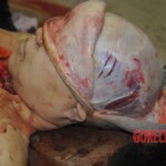 Autopsy of stabbed Chinese woman