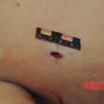 Autopsy of stabbed Chinese woman