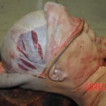 Autopsy of stabbed Chinese woman