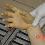 Autopsy of stabbed Chinese woman