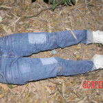 Chinese woman found hanged in forest