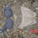 Chinese woman found hanged in forest