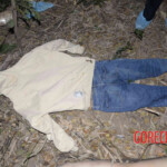 Chinese woman found hanged in forest