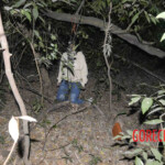 Chinese woman found hanged in forest
