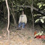 Chinese woman found hanged in forest
