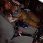 Couple having affair shot dead in car