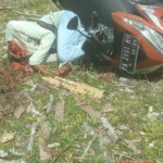 Decapitated man found along road in Central Papua, Indonesia