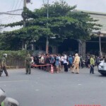 Elderly female cyclist fatally crushed by truck