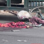 Elderly female cyclist fatally crushed by truck