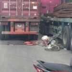 Elderly female cyclist fatally crushed by truck