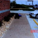 Gunman kills four people in waffle house shooting