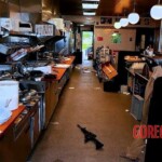 Gunman kills four people in waffle house shooting