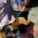 Husband suspected of stabbing wife to death