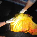 Initial examination of dead Chinese woman
