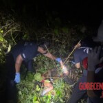 MIX: Victims of Papuan tribal wars