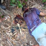 Man hacked to death with machete during acai berry gathering