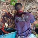Man hacked to death with machete during acai berry gathering