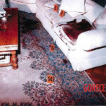 Menendez brothers killed their parents in Beverly Hills