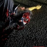 Motorcyclist sustains fatal head injury in crash