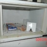 Son kills mother and commits post-mortem cannibalism