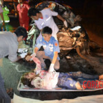 Two female university students died in head-on collision with truck