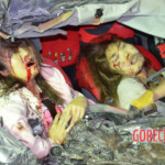 Two female university students died in head-on collision with truck