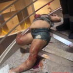 Woman after falling from 15th floor