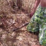 Young man found hanged in wooded area