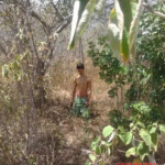 Young man found hanged in wooded area