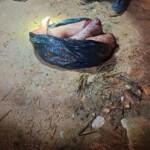 Young man murdered and dismembered his wife's relative